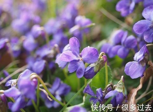 养儿防老，积谷防饥