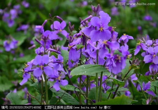 九品中正