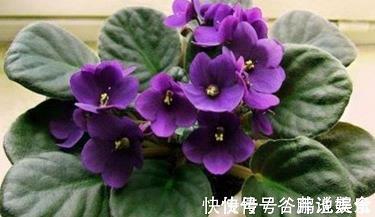 逍遥物外