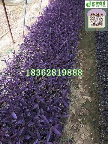 矫枉过中