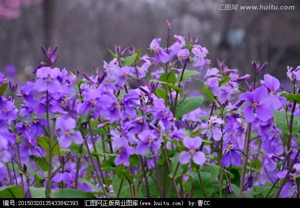 推究根源
