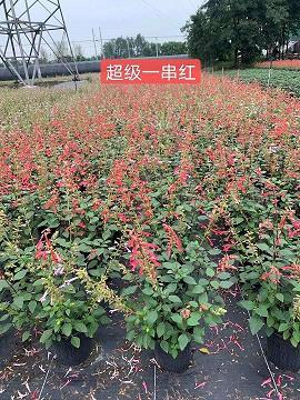 在所难免