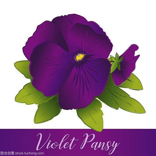 屈蠖求伸