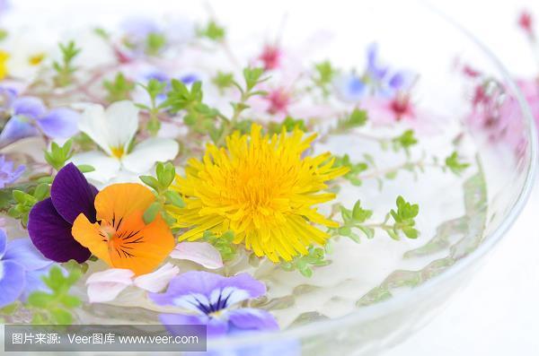 不轨不物