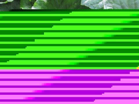 儋石之储