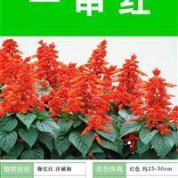 江翻海沸