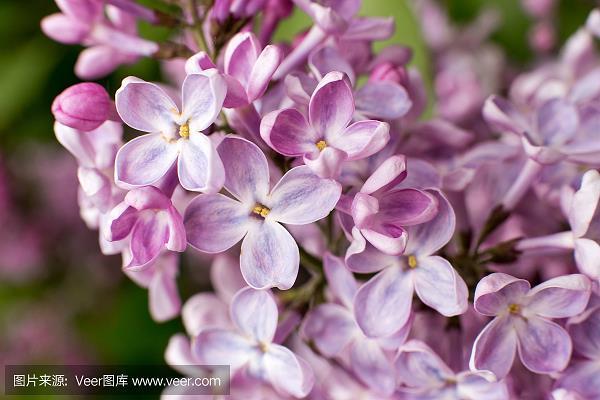 秉节持重