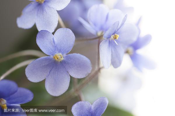 精力充沛