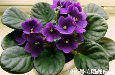 旭日东升