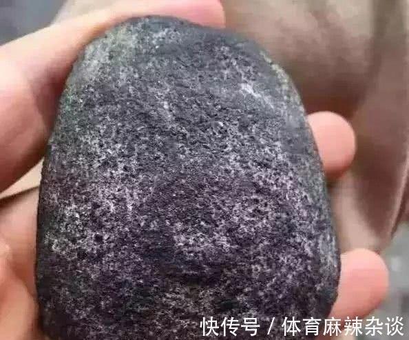 蒲柳之姿
