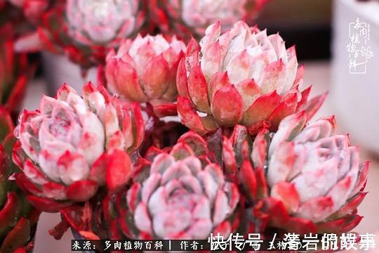 长命富贵