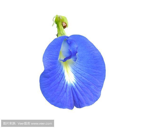 白首无成