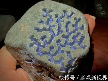 智周万物