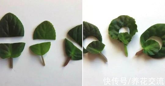 东扯西拽