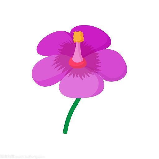 承天之佑