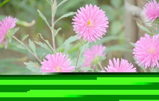 屯粮积草