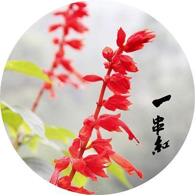 弱本强末