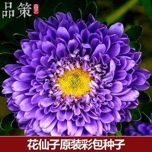 拟于不伦