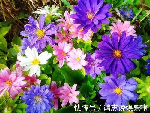 人不可貌相