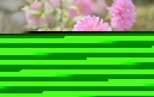 利令智昏