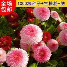 破家荡业