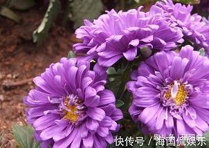 破琴示绝
