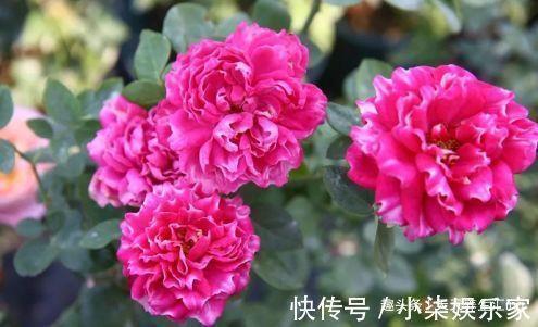 向上一路