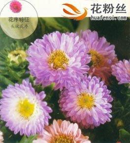青史留芳