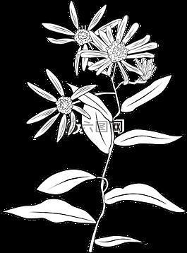 柔情蜜意
