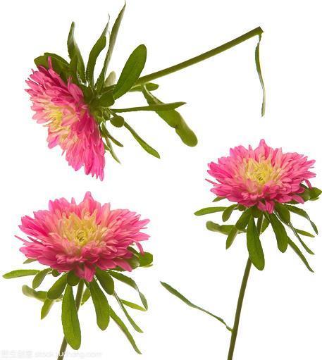居不重席