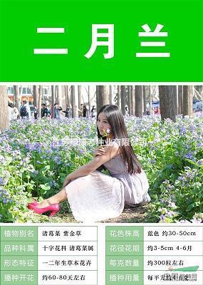 骑鹤扬州