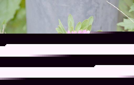 重归于好