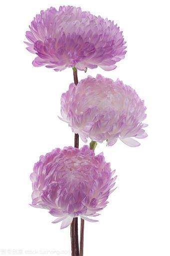 忻忻得意