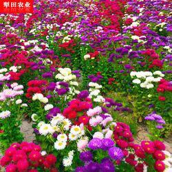 心寒胆碎