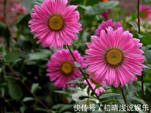 调整心态的正能量句子 鼓励自己心态平和的句子