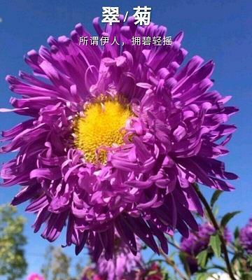 日月无光