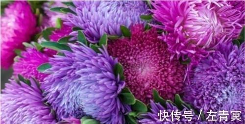 谭何容易