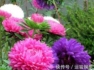 束蕴请火