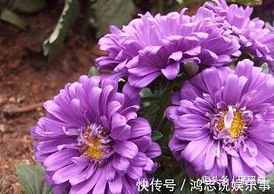据高临下
