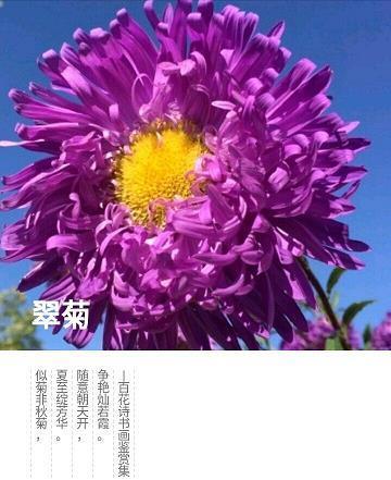 杖钺一方