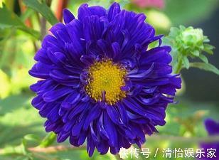 转辗反侧