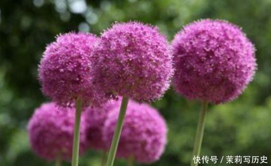 无尤无怨