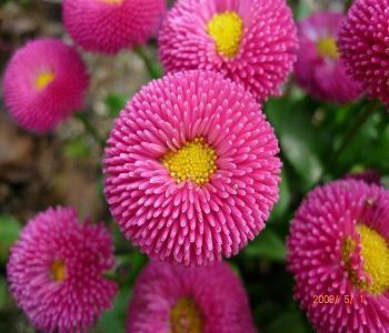 甘贫守节
