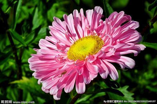 春色撩人