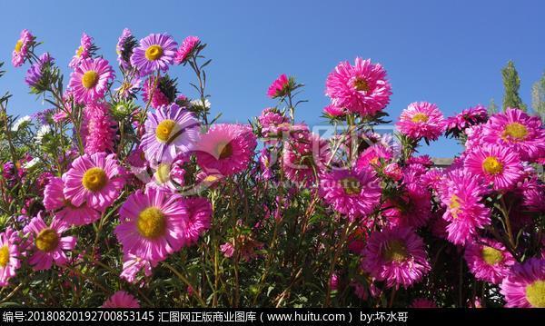 酝藉风流