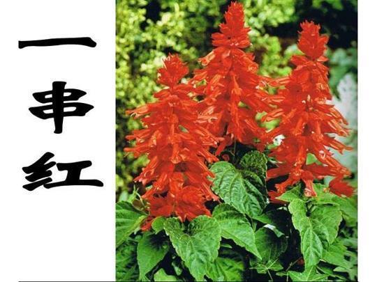 壮志凌云