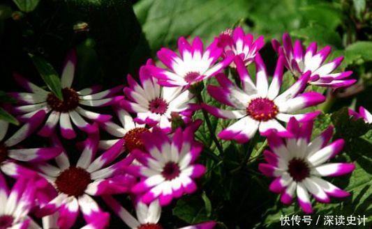 八九不离十