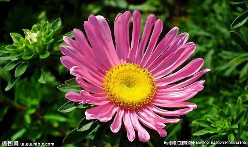 蒙以养正