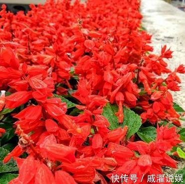 云窗雾槛