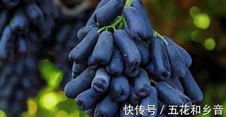 云开见天